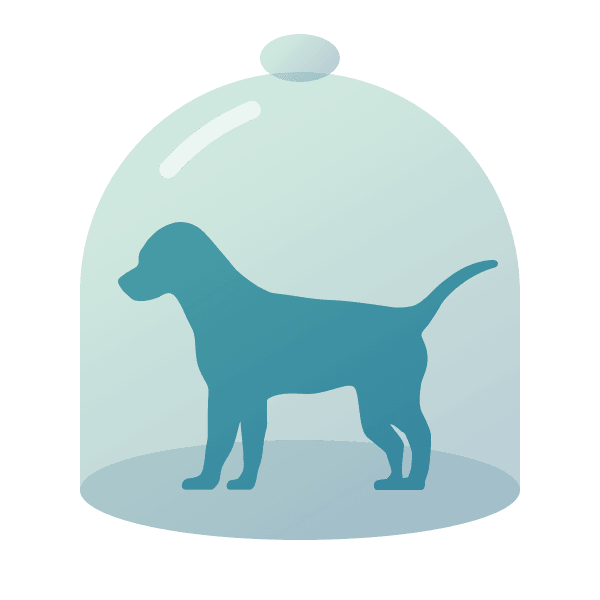 Illustration des askDANTE Hundes unter einer Glasglocke.