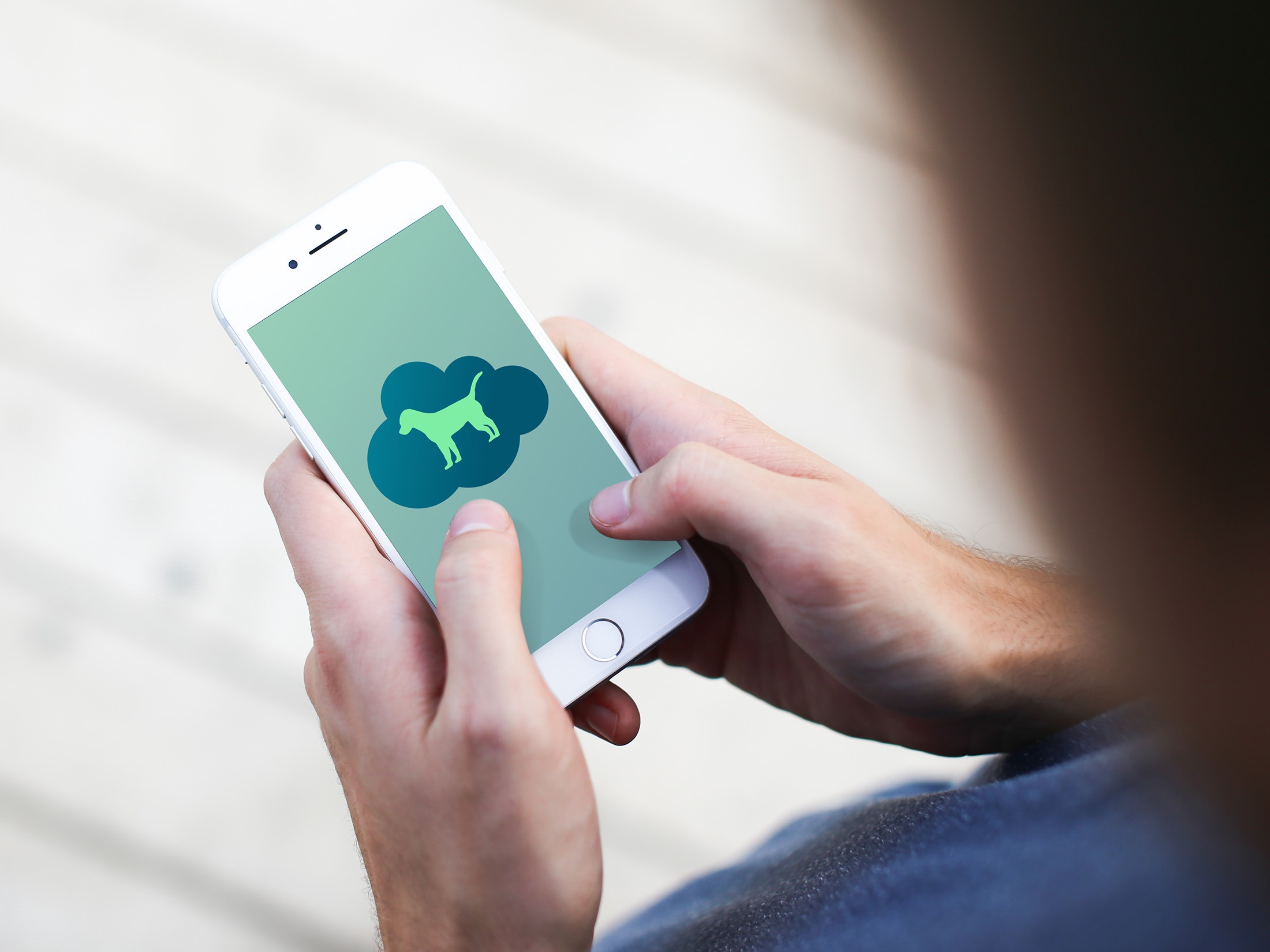 Person tippt auf Smartphone, das askDANTE Logo-Hund in einer Cloud zeigt.