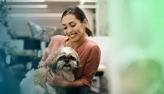 Header zeigt Angestellte im Office mit einem Hund auf dem Schoß.