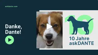 Grafik zeigt den Hund Dante als Thumnail, der Namensgeber von askDANTE ist
